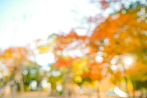 Abstract Autumn Bokeh Background Stock Photos