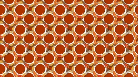 Abstract Autumn Equinox Kaleidoscope Pattern Loop with Red and Gold Circles Stock Footage 343876482