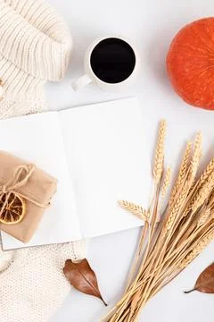 Abstract Autumn, fall flat lay composition Stock Photos
