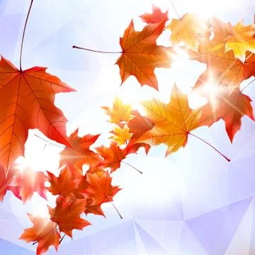 Abstract autumn illustration with maple Leaves. Stock Illustration