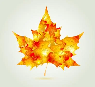 Abstract autumn maple leaf Stock Illustration