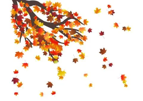 Abstract autumnal background with flying maple leaves. Fall season. Stock Illustration