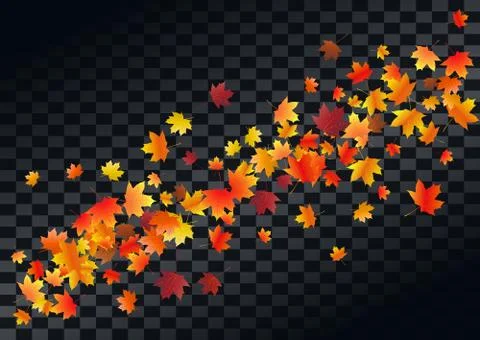 Abstract autumnal background with flying maple leaves. Fall . Stock Illustration