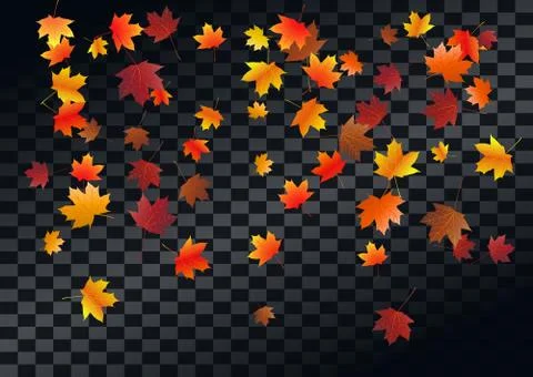 Abstract autumnal background with flying maple leaves. Fall . Stock Illustration
