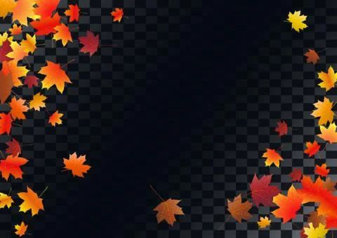 Abstract autumnal background with flying maple leaves. Fall . Stock Illustration