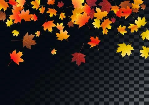Abstract autumnal background with flying maple leaves. Fall . Stock Illustration