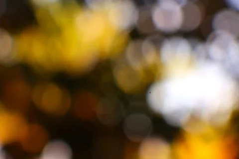 Abstract Autumnal Bokeh Background with Warm Yellow and Brown Tones Stock Photos