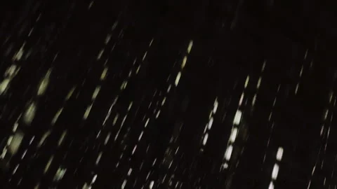 Abstract backdrop with white lines fall. Stock Footage 310250576