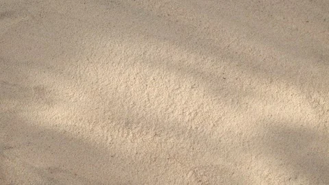 Abstract backdround of tree leaves and grass silhouette shadows motion over sand Stock Footage 256622634