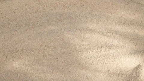 Abstract backdround of tree leaves and grass silhouette shadows motion over sand Video stock 257392544