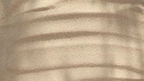 Abstract backdround of tree leaves and grass silhouette shadows motion over sand Vídeo Stock 261126329