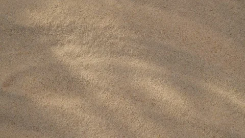 Abstract backdround of tree leaves and grass silhouette shadows motion over sand Video stock 262512392