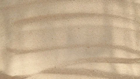 Abstract backdround of tree leaves and grass silhouette shadows motion over sand Vídeo Stock 263179979
