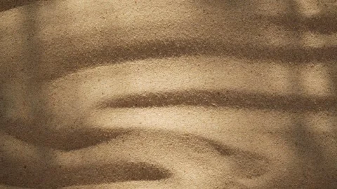 Abstract backdround of tree leaves and grass silhouette shadows motion over sand Stock-Footage 263866949