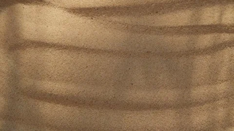 Abstract backdround of tree leaves and grass silhouette shadows motion over sand Stockbeeldmateriaal 265211270
