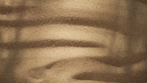 Abstract backdround of tree leaves and grass silhouette shadows motion over sand Stockbeeldmateriaal 266870552