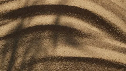 Abstract backdround of tree leaves and grass silhouette shadows motion over sand Video stock 271223692