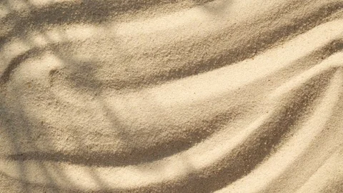 Abstract backdround of tree leaves and grass silhouette shadows motion over sand Vídeo Stock 273281293