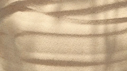 Abstract backdround of tree leaves and grass silhouette shadows motion over sand Stockbeeldmateriaal 274465546