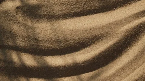 Abstract backdround of tree leaves and grass silhouette shadows motion over sand Stockbeeldmateriaal 275009959