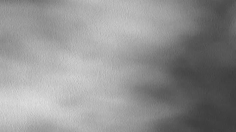 Abstract backdround, tree leaves silhouette shadows in slow motion on grey wall Video stock 269622493