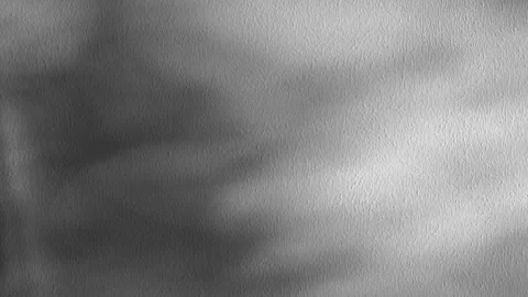 Abstract backdround, tree leaves silhouette shadows in slow motion on grey wall Stockbeeldmateriaal 273127055