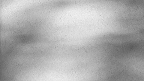 Abstract backdround, tree leaves silhouette shadows in slow motion on grey wall Vídeo Stock 273844069