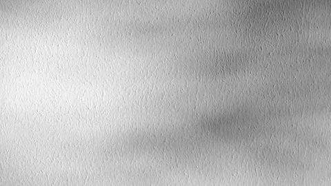 Abstract backdround, tree leaves silhouette shadows in slow motion on grey wall Stock-Footage 274868801
