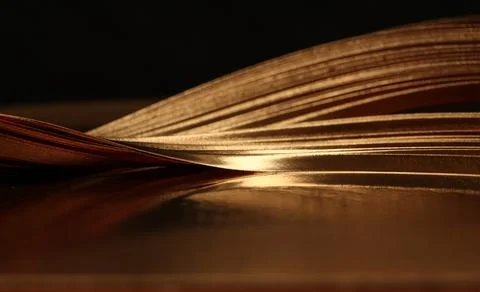 Abstract backgound. Gold (bronze) paper wave on black. Stock Photos