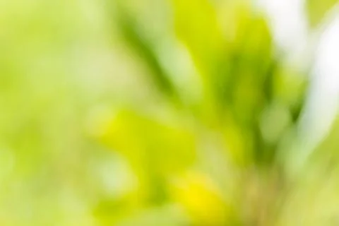 Abstract background 01 Stock Photos