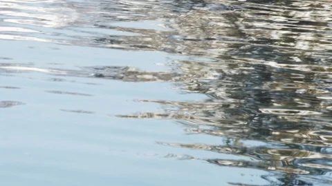 Abstract Background 4k - Water Surface Reflecting Tree - Sunny Day Stock Footage 119691209