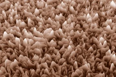 Abstract background, abstract flower surface texture. 3d illustration Stock Illustration