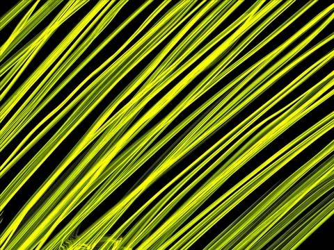 Abstract background Abstract generated black and yellow light pattern grap... 写真素材