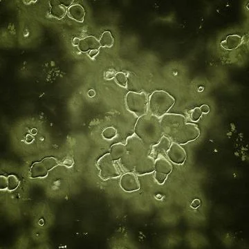 Abstract background Abstract generated pattern for background and design C... Foto stock