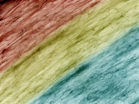 Abstract background Abstract generated pattern for background and design C... 写真素材