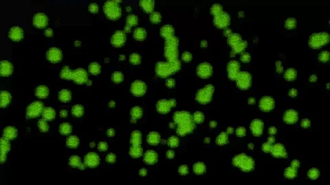 Abstract background, Abstract motion Background Video, particle motion video 4K Stock Footage 288006604