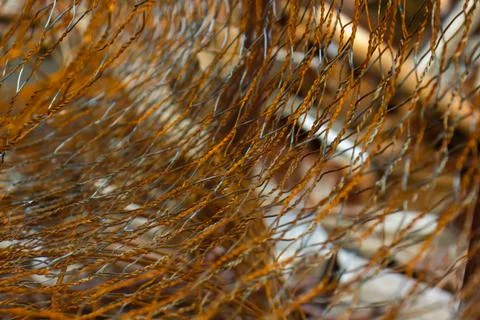 Abstract background, abstract rusty bars wallpaper Photos