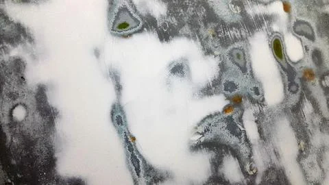 Abstract background. Abstract surface. Background picture Stock Photos