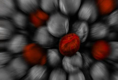 Abstract background acceleration motion line single bright fruit nut gray bas Stock Photos