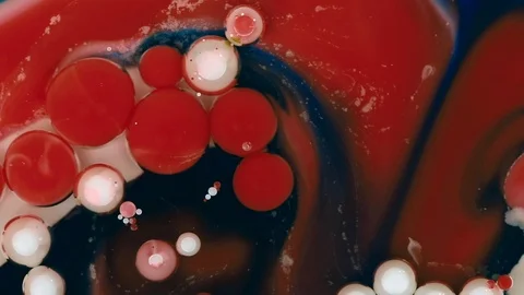 Abstract background. Acrylic red and white bubbles mixing in oil Vidéo 89811857
