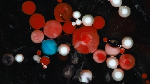 Abstract background. Acrylic red, white and blue bubbles mixing in oil on black 库存影片 89811878