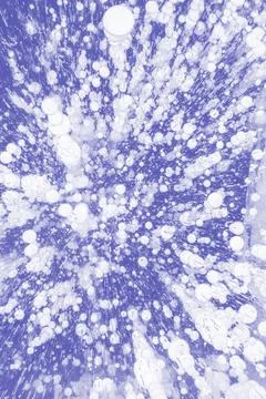 Abstract background of air bubbles. Stock Photos