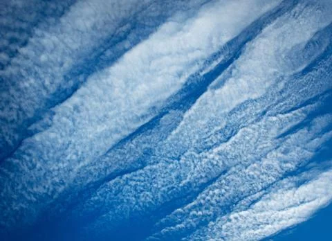 Abstract background algae in the sky Stock Photos