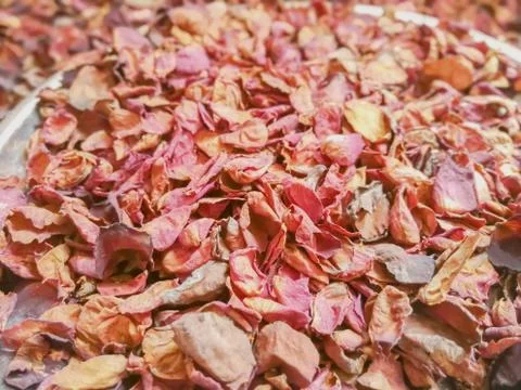 Abstract background and texture of dry rose petals Stock Photos