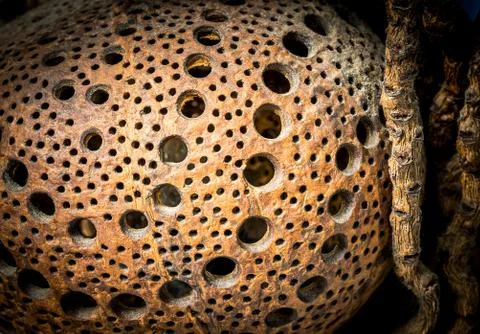 Abstract background and texture Stock Photos