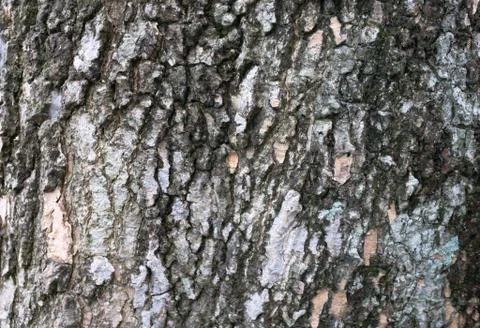 Abstract background and texture Stock Photos