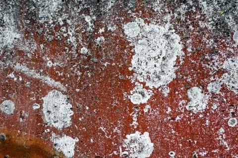 Abstract background and texture rust brown red colored with large white and.. Stock Photos