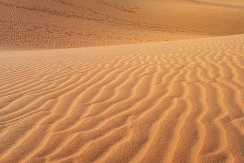 Abstract background and texture of sand waves in desert Stock Photos