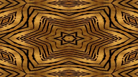 Abstract background animation based on tiger stripes pattern Video stock 135524530