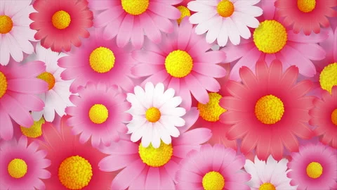 Abstract background animation of beautiful flower rotation and blooming Stock Footage 146644347